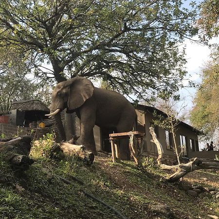 Ximongwe River Camp - Hippo Cottageバルレ・ゲーム・リザーブ エクステリア 写真